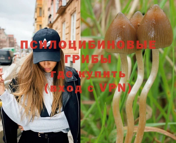 прущие крисы Алзамай