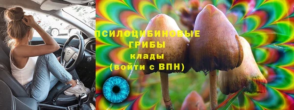 амфетамин Алексин